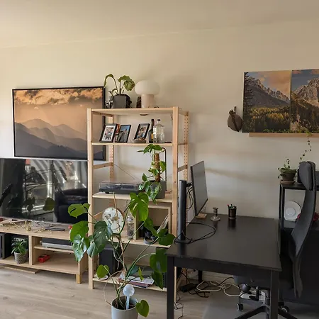 Spacious And Cozy With Balcony 公寓