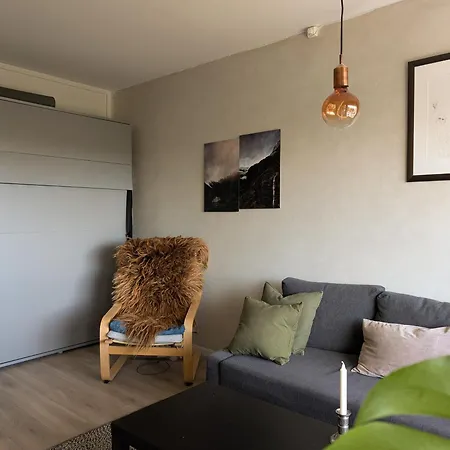 Апартаменты Spacious And Cozy With Balcony Осло